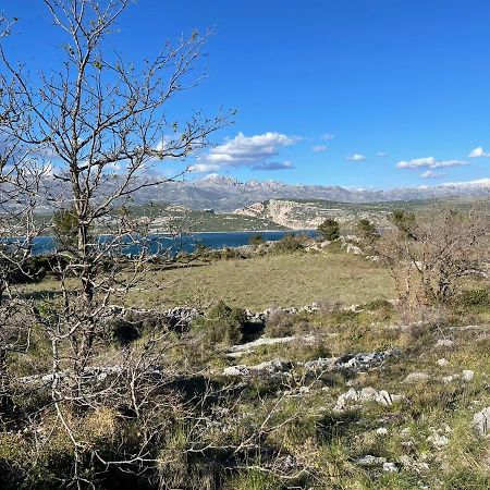 Villa Planita Dalmacija Novigrad  Zewnętrze zdjęcie