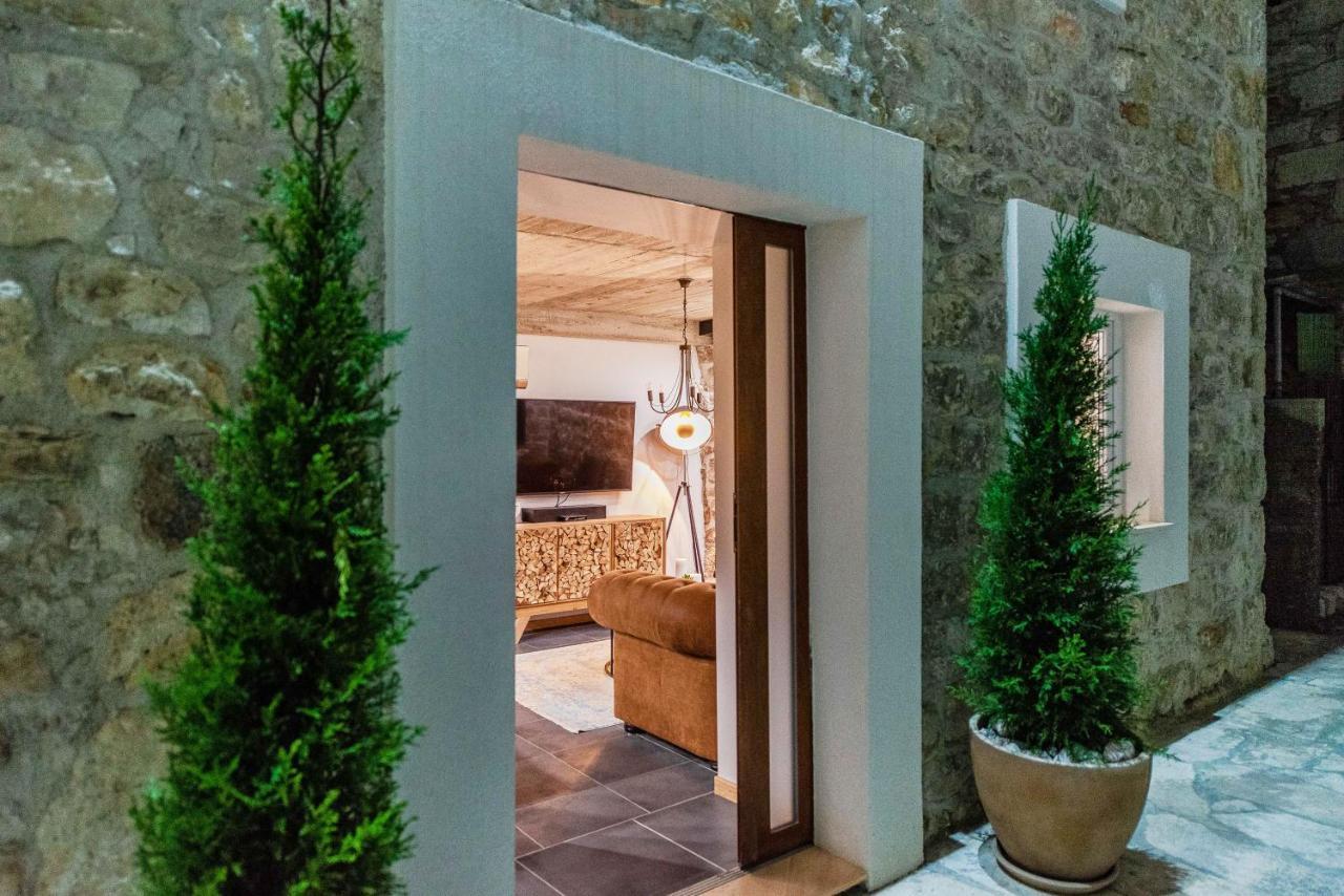 Villa Planita Dalmacija Novigrad  Zewnętrze zdjęcie