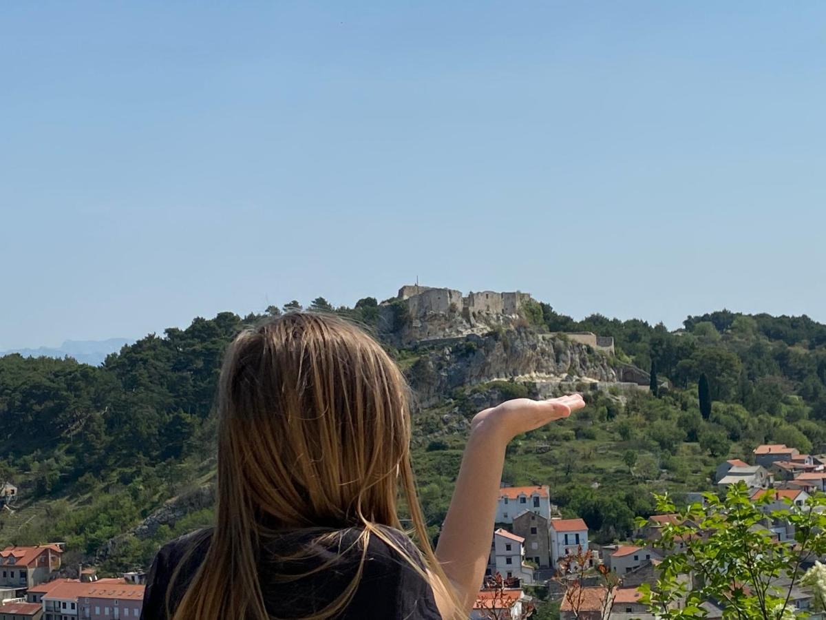 Villa Planita Dalmacija Novigrad  Zewnętrze zdjęcie